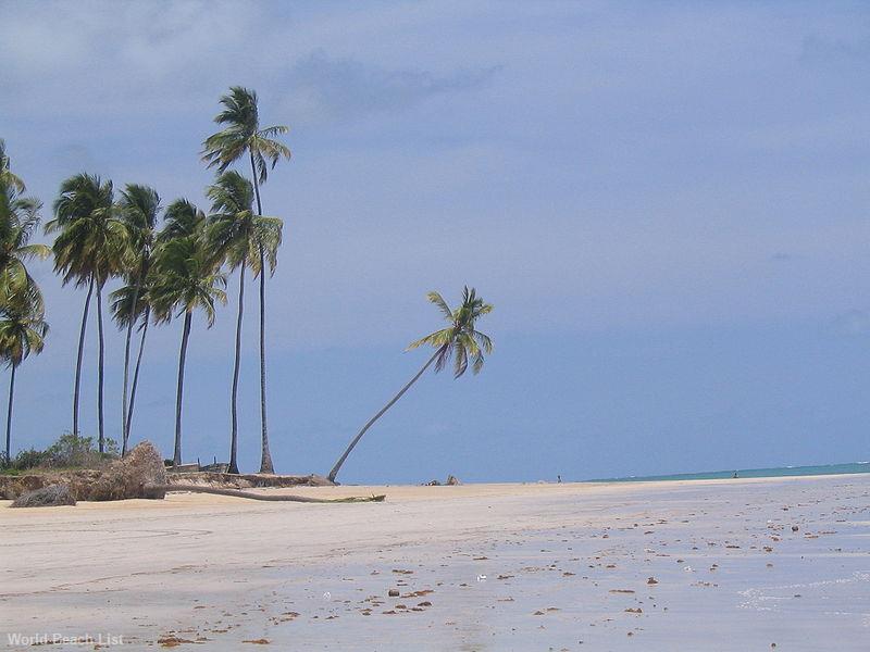 Tamandaré