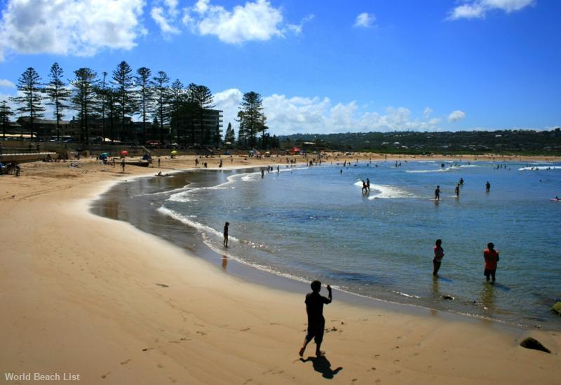 Dee Why Beach