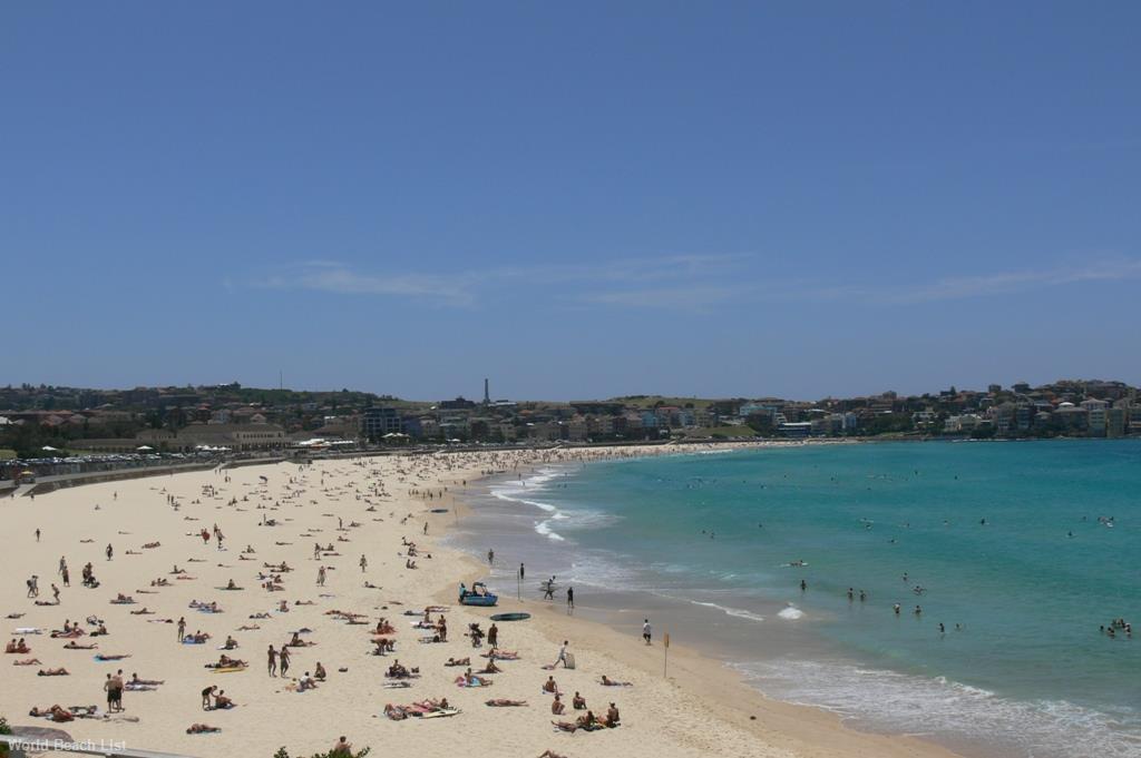 Bondi Beach