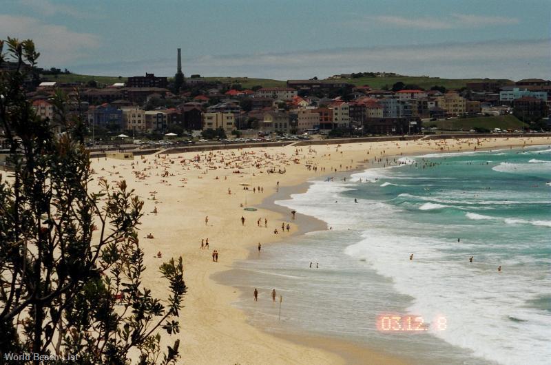 Bondi Beach