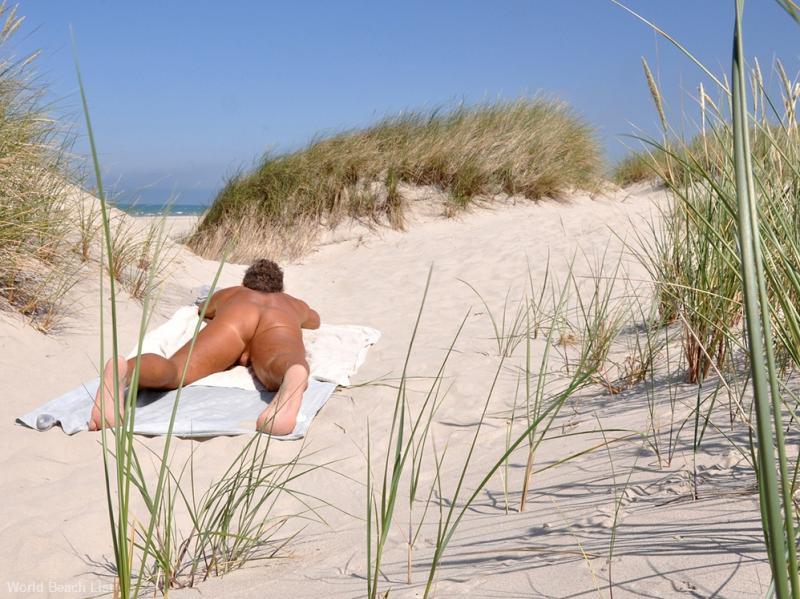 A view from the dunes to the ocean