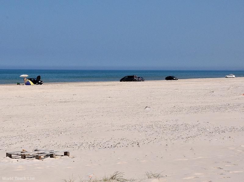 White beach landscape