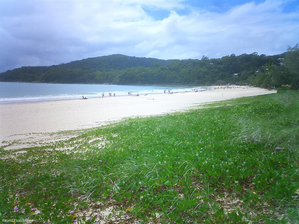 Noosa Beach