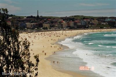 Bondi Beach