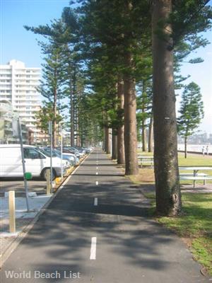 Manly Beach Cycle Path