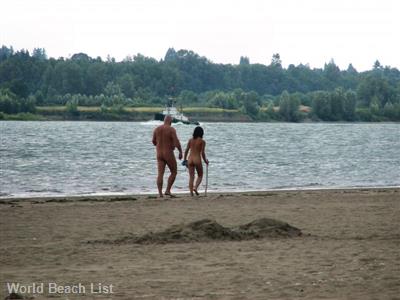 Collins Beach